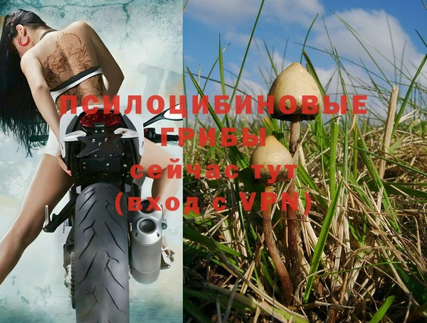 винт Нязепетровск
