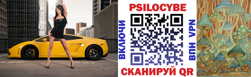 Галлюциногенные грибы мицелий  Калининец 
